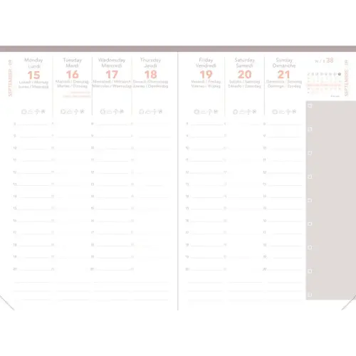 Agenda année scolaire 2026-2027 Universitaire Color - Semainier Planning Multilingue - Festy Vert - 13 mois de août à août - 10x15 cm - Quo Vadis photo du produit