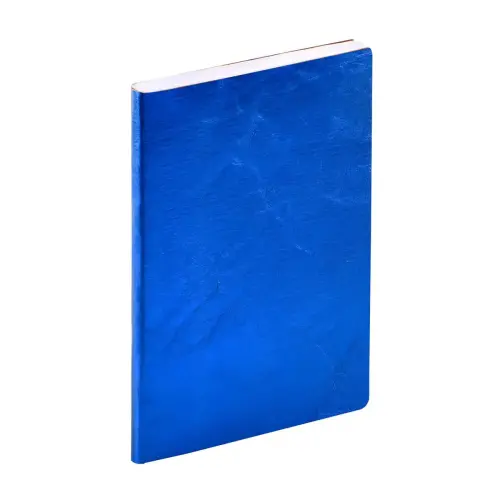 Agenda 2027 Affaires Color - Semainier Planning Multilingue - Susan - Bleu - 13 mois de décembre à décembre - 10x15 cm - Quo Vadis photo du produit