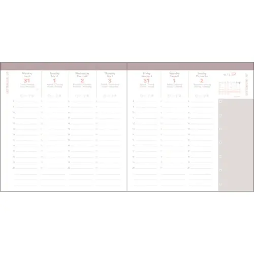 Agenda année scolaire 2026-2027 Exécutif Septembre Color - Semainier Planning Multilingue - Andrea Rouge - 13 mois de août à août - 16x16 cm - Quo Vadis photo du produit