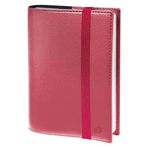 Agenda année scolaire avec répertoire 2026-2027 Ministre Septembre Color - Semainier Planning Multilingue - Céleste Rose - 13 mois de août à août - 16x24 cm - Quo Vadis photo du produit
