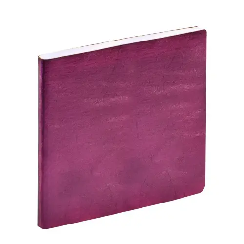 Agenda 2027 Exécutif Color - Semainier Planning Multilingue - Susan Violet - 13 mois de décembre à décembre - 16x16 cm - Quo Vadis photo du produit