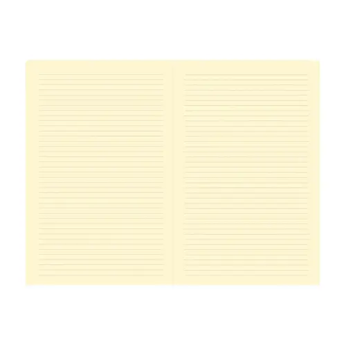 Carnet rigide A6 192 pages Silk - 10x15 cm - avec &eacute;lastique - Quo vadis photo du produit