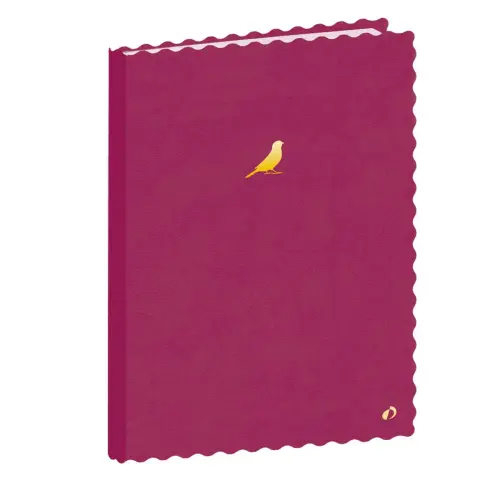 Carnet souple A5 - 96 pages Festy - 15x21 cm - Quo vadis photo du produit