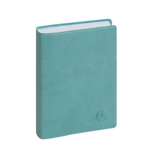 Ag. Journalier EasyDay 15 Ondine - Exacompta photo du produit