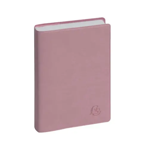 Ag. Journalier EasyDay 15 Ondine - Exacompta photo du produit
