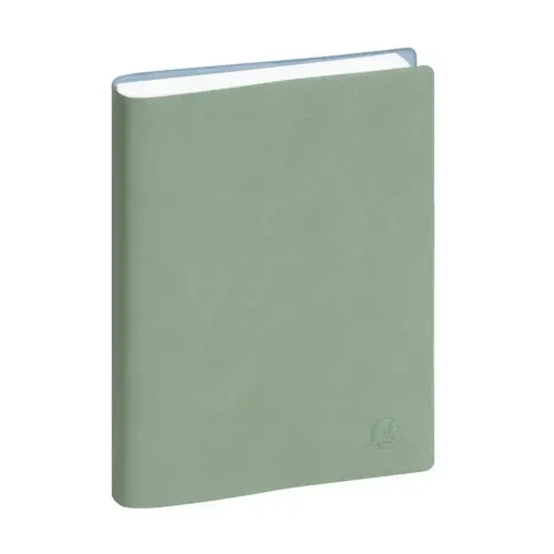 Ag. Journalier EasyDay 17 Ondine - Exacompta photo du produit
