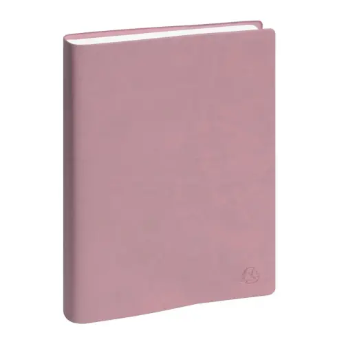 Ag. Journalier EasyDay 21 Ondine - Exacompta photo du produit