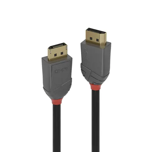 Câble Anthra Line DisplayPort 1.2 10 m - Lindy photo du produit