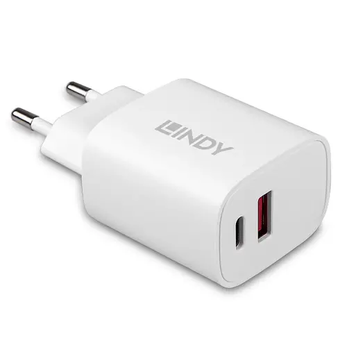 Chargeur USB type A & C 20 W - Lindy photo du produit