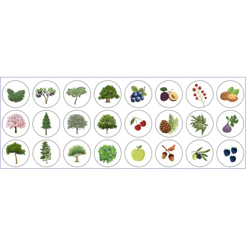 Rouleau de gommettes Arbres 360 unités - Apli photo du produit