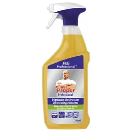 Spray nettoyant et dégraissant MR PROPRE Professional - 750 ml photo du produit