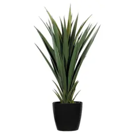 Plante artificielle Yucca - H 60 cm photo du produit