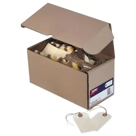 1000 Etiquettes B1000 et Amer 100x51mm + Ficelle - APLI photo du produit