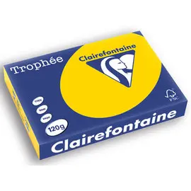 Ramette de 250 feuilles de papier Trophée A4 120g bouton d'or photo du produit
