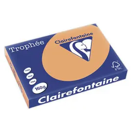 Carton de 4 Ramettes de 250 flles papier caramel CLAIREFONTAINE Trophée A3 160g photo du produit