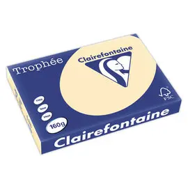 Carton de 4 Ramettes de 250 flles papier chamois CLAIREFONTAINE Trophée A3 160g photo du produit