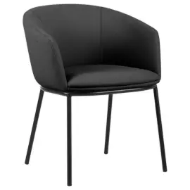 2 Fauteuil Arco avec Pied en M&eacute;tal - Noir - Generique photo du produit