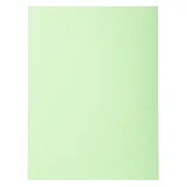 100 Chemises de rangement Forever 170 - Vert - Exacompta photo du produit