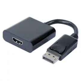 Adaptateur DisplayPort vers HDMI - 20 cm photo du produit