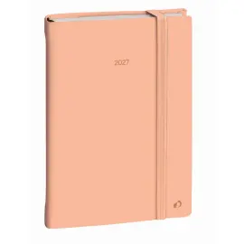 Agenda journalier DAILY 21 COLOR ML Pastel - 15x21 cm - Orange - Janvier &agrave; d&eacute;cembre - QUO VADIS photo du produit
