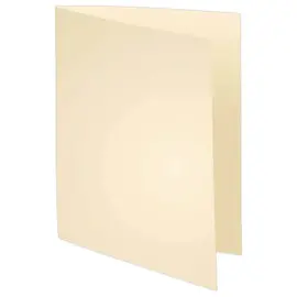 100 Chemises 24 x32 cm "Super 210" - beige - Exacompta photo du produit