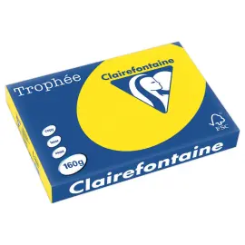Ramette de 250 feuilles de papier couleurs intenses Troph&eacute;e A3 - 160g photo du produit