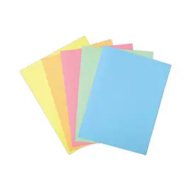 100 Chemises 1 rabat 160 g carte qualité supérieure PEFC - couleurs pastel photo du produit