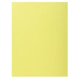 100 Chemises 1 rabat 160 g carte qualit&eacute; sup&eacute;rieure PEFC - couleurs pastel photo du produit