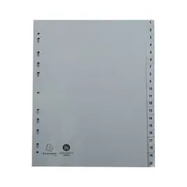 Jeu d'intercalaires imprimés numériques PP gris recyclé -10 positions photo du produit