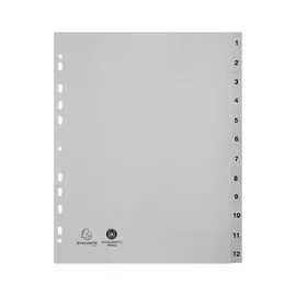 Jeu d'intercalaires imprimés numériques PP - gris  recyclé - 12 positions - EXACOMPTA photo du produit