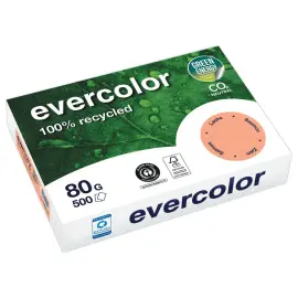Ramette de 500 feuilles de papier recycl&eacute; Evercolor A4 80g photo du produit