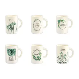 Carton de 6 Mugs Botanique de 40 cl en porcelaine photo du produit