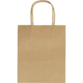 20 Sacs en papier kraft - 18 x 21 x 8 cm - 125g photo du produit