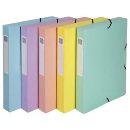 Boîte de classement A4 - Dos 60mm  - Couleurs assorties - EXACOMPTA photo du produit