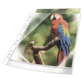 25 Pochettes perforées A4 - bord blanc - DURABLE photo du produit