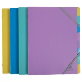 Trieur Forever Young - 8 compartiments - Assortis - EXACOMPTA photo du produit