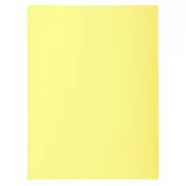 100 Chemises 24 x32 cm "Super 210" Exacompta photo du produit