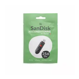 Cl&eacute; USB 2.0 - 256 Go - Sandisk photo du produit