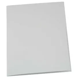 100 Chemises 220 g recycl&eacute;es - Gris - EXACOMPTA photo du produit