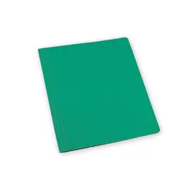 Chemise simple dos rainé - Vert - EXACOMPTA photo du produit