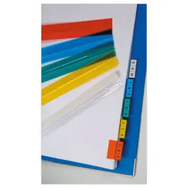 5 bandes d'onglets en plastique transparent autocollants - Coloris assortis - ESSELTE photo du produit