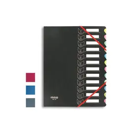 Trieur chemise bi-mati&egrave;re  - 12 compartiments - EXTENDOS photo du produit