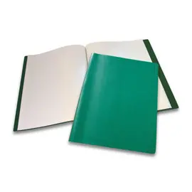 Protège-documents économique - A4 - 30 pochettes - Vert photo du produit