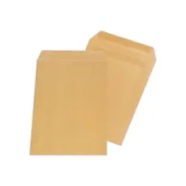 250 Pochettes kraft qualité supérieure - 229 x 324 mm - 120 g - GPV EVERYDAY photo du produit