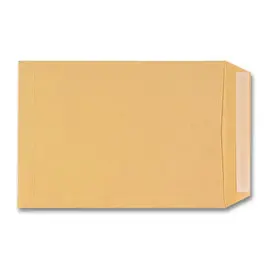 250 Pochettes kraft brun - 90 g - 250 x 352 mm - GPV EVERYDAY photo du produit