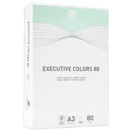 Ramette de 500 feuilles papier - A3 - Vert pastel photo du produit