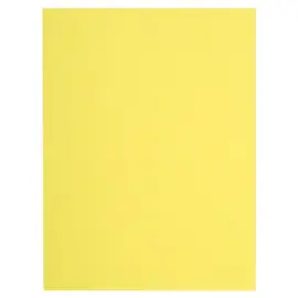 Paquet de 100 chemises FLASH 220 100% recycl&eacute; - 24x32cm - Canari - EXACOMPTA photo du produit