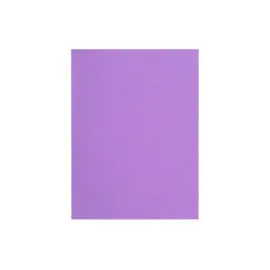 Paquet de 100 chemises FLASH 220 100% recycl&eacute; - 24x32cm - Lilas - EXACOMPTA photo du produit