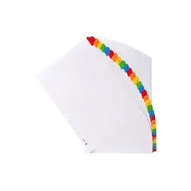 Intercalaires Imprimés numériques carte blanche 160g/renforts couleurs + page de garde - 31 positions - A4 - Blanc - EXACOMPTA photo du produit