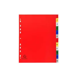 Intercalaires imprimés numériques polypropylène 12/100e - 12 positions - A4 Maxi - Assorties vives - EXACOMPTA photo du produit